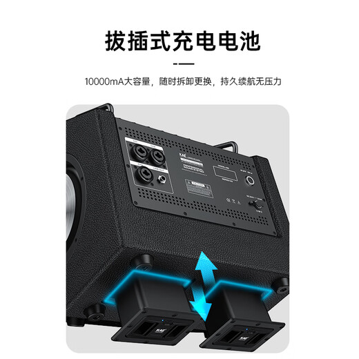 KAE-M8 outdoor karaoke live broadcast roadshow musical instrument audio electric blowpipe guitar saxophone live singing live broadcast internal recording box M8 white tiger head 330W high power + gift package