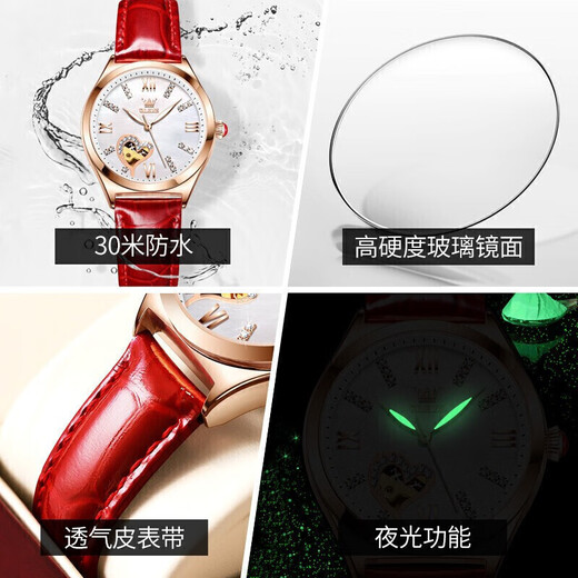 欧利时 （OLEVS）瑞士认证情侣手表一对全自动机械表镂空飞轮夜光防水男女对表 3601间白6636玫白情侣免费刻字
