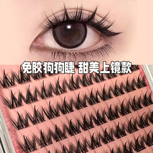Eyelashes 100 clusters large capacity glue-free small dog false eyelashes for lazy people thick natural cartoon simulation segmented new style 100 clusters canine glue-free false eyelashes glue-free and easy to use to make your eyes bigger in seconds