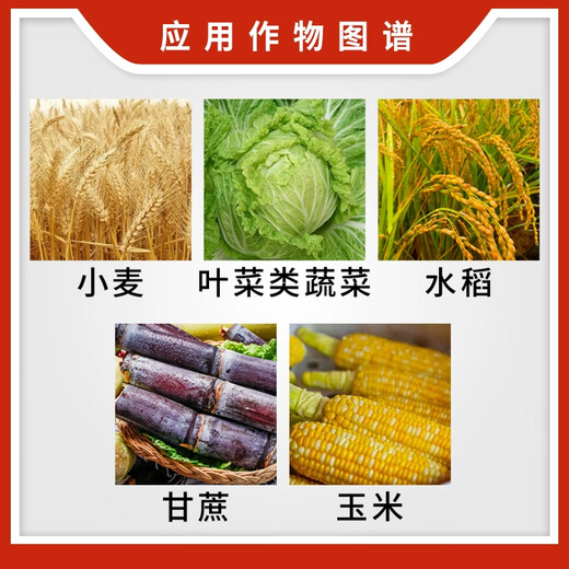 28 Epibrassinolide 0.01% fruit tree and vegetable field growth regulator that promotes growth, resists stress and eliminates pesticide damage 1000g