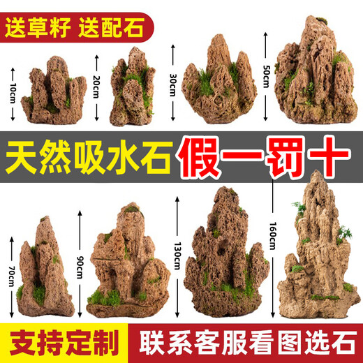 Absorbent stone on water stone natural raw stone fish pond fish tank bonsai micro landscape green plant landscaping decorative ornaments rockery stone 10-14cm absorbent stone without pot free grass seeds with stone