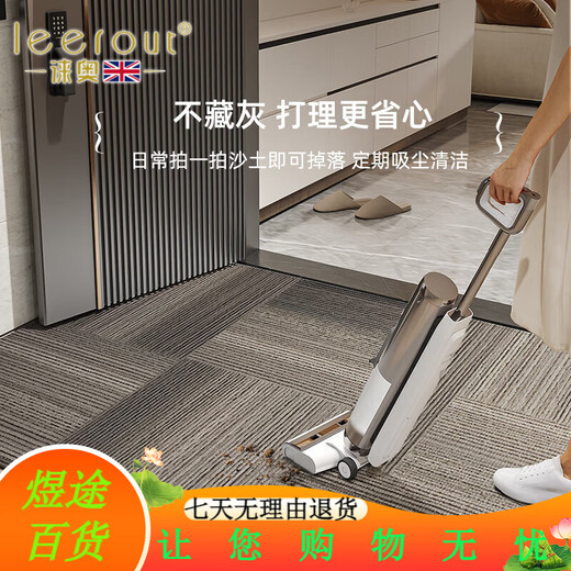徕奥leerout入户门地垫进门地毯门口家用门垫防滑客厅玄关脚垫可裁剪 全季-15269 120cm*100cm1件数