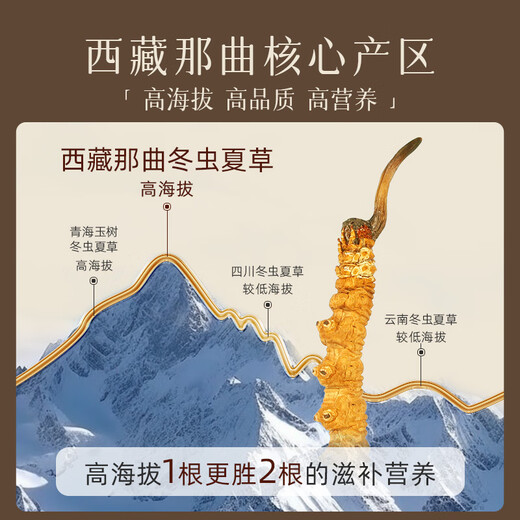 Ren Shiwenwen Wild Cordyceps sinensis, Tibet Naqu Broken Cordyceps selection quality, self-use and affordable family nourishment, high-end gift [wild] Selected Big Broken Grass 1 gram [Introduction to nourishment]