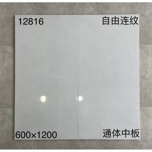 Ni Zhier Custom Wohnzimmerbodenfliesen Foshan 600x1200 Weißer grauer Marmorbodenfliesen Anti-Rutsch-Wege-resistenter großer Teller 12805 600x1200mm