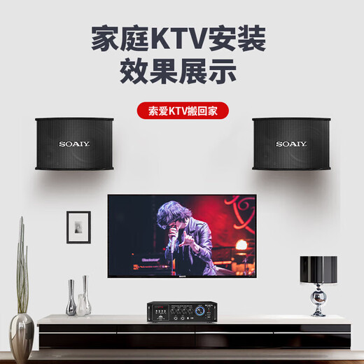 索爱（soaiy） 家庭影院KTV音响套装10英寸家用商用会议舞蹈室设备卡拉ok蓝牙功放 5.5英寸音响套装+双话筒