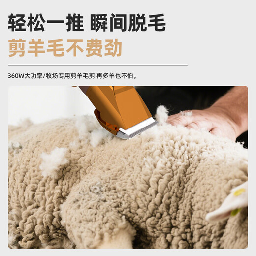 DINGNAI high-power wired dog wool shear electric clipper high-power shaver pet hair pusher wool electric clipper wool shear gold + 1 head 48V plug-in