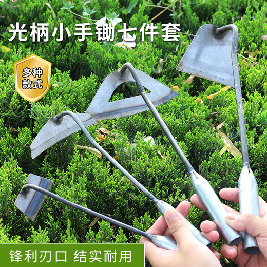 Xushansi Jardinería Pequeña plantación de flores de humo