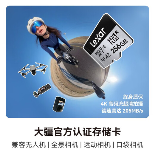 Lexar 256GB TF (MicroSD) memory card V30 4K read 205MB/s Drone action camera Pocket3 officially recommended memory card (SILVER PLUS)