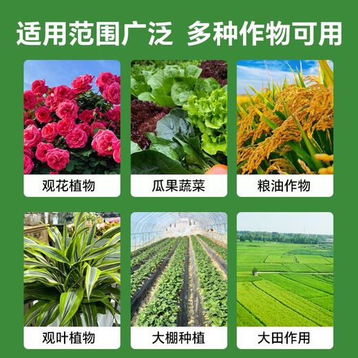 Quick Green 120 Foliar Fertilizer Chlorophyll Genuine Thick Leaf Vegetables Flowers Fruits and Vegetables Universal Water-Soluble Fertilizer Factory Direct Sales Powerful Quick Green 120 50g*10 Bags Standby