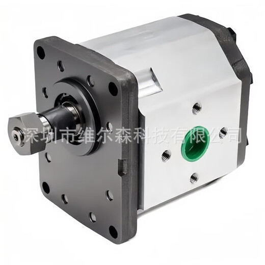 GJXBP Gear Pump 1PLK15054DE10 Roquet