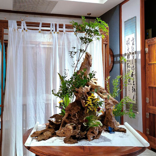 三栖虎天然风化枯木木雕根雕微景观造景插花木头禅意树根摆件花艺水沉木 藏青色 6173号木雕长约23cm
