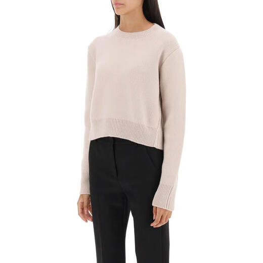 Lanvin Damen Cashmere Round Hals Stricker Sweater Langarm Ripper Slim Fit Sogile Herbst- und Winterstil Pink One Size S s