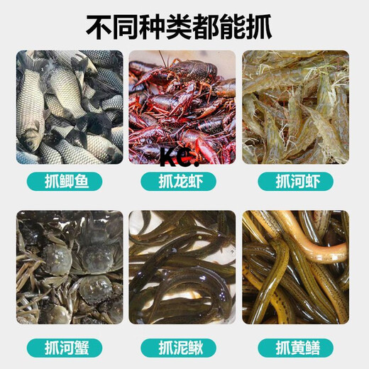 Kaooseen new folding fish cage, shrimp cage, fish net, shrimp net, crab fishing net, fishing net, loach cage, eel cage, lobster net, luxury fishing shrimp cage 8 holes + gift bag