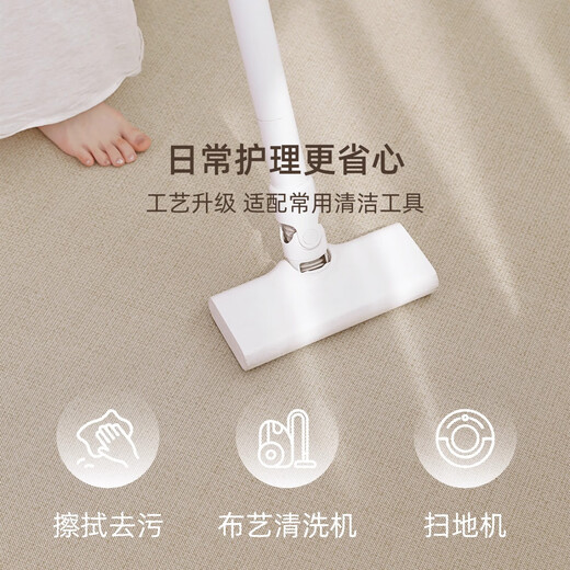 ZSVIP Living Room Carpet 2025 New Cool Floor Mat Summer Ice Wire Light Luxury High-end Room Tatami Free Washable and Wipeable Yimu-15780 200cm*300cm