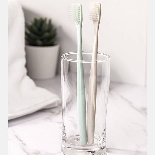 Meijia Life Disposable Toothbrushes 20 Pieces Hotels and B&Bs Home Hospitality Soft-Bristled Toothbrushes Mixed Colors