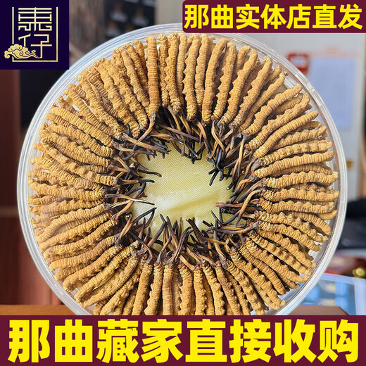 东仔【西藏那曲】野生冬虫夏草高海拔野生虫草断草滋补品礼盒送长辈 【西藏那曲野生】大号断草-全家滋补 5克（礼盒装）