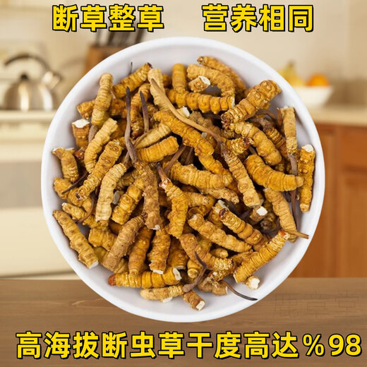 正品虫草冬虫夏草大断草高海拔断虫草2025头茬新自用大号断虫草 那曲高海拔断虫草20克装