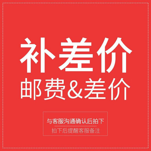 Bufan Electric Vehicle 100