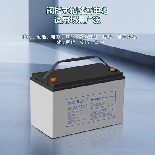 理士蓄电池DJM12100S直流屏DJM1265S 12V100AH DJM1240S DJM123 DJM12200S_(12V200AH)