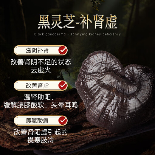
WILAKON/Weilekang Blambi Ganoderma Spore Powder Capsules Enhance Immunity Postoperative Radiation and Chemotherapy for Middle-aged and Elderly Nutritional Products 360 Tablets/Box