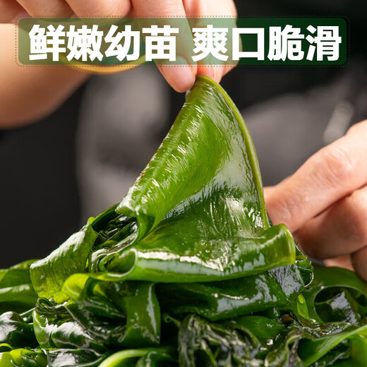 盐渍裙带菜非干货海带嫩苗儿童海菜海白菜海藻菜凉拌新鲜包邮 裙带菜嫩叶100g