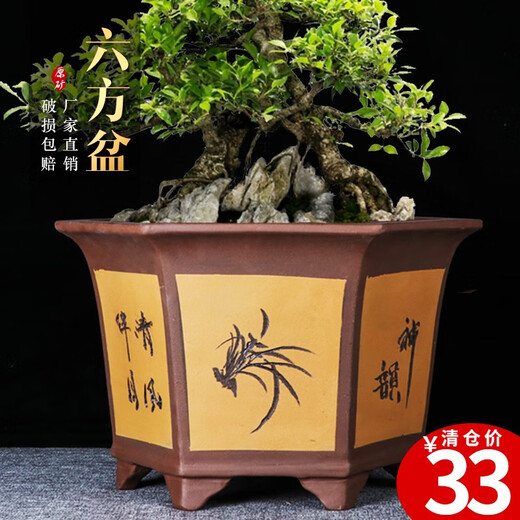 Yixing Purple Clay Orchid Pot Succulent Tree Old Pile Cliff Bonsai Pot Bureau Green Plant Céramique Flower Pot 693 Small