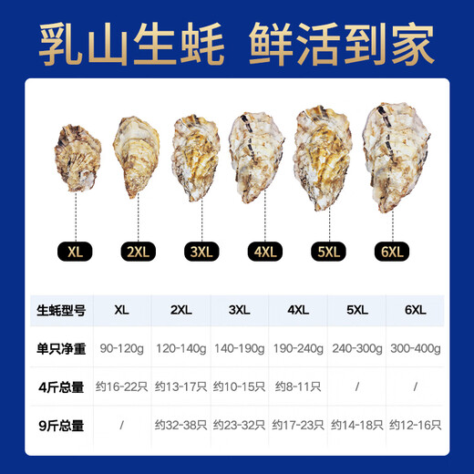 Bassling Fresh Rushan Ecological Oysters 4XL Net weight 9Jin Jin is equal to 0.5kg 17-23 pcs Freshly delivered directly from the source for New Year gifts