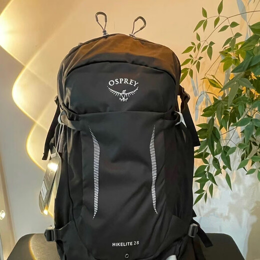 Kitty Hacker 26L Silver Gray Hiking and Mountaineering Travel Backpack for Men and Women Lightweight Waterproof Backpack Pine Leaf Green 26L