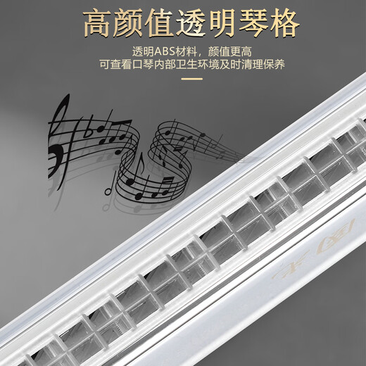 Guoguang 24-hole Guozhimeng performance-grade upgraded polyphonic C harmonica (new transparent fret, silver)