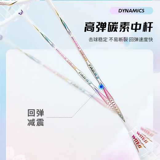 目击者（WITESS）目击者羽毛球拍691双拍超轻全碳素碳纤维两支装 镭射系列691黑色全碳双拍送套装