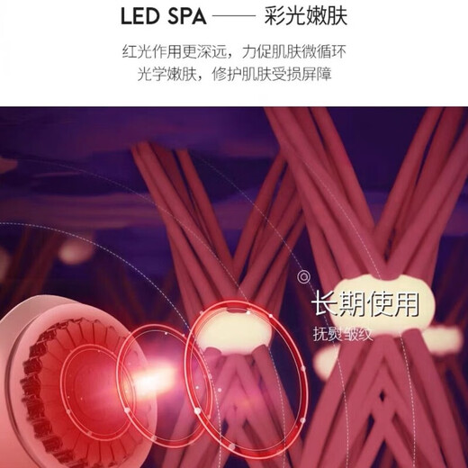 金稻脸部美容仪精华乳液提拉紧致多功能排毒清洁导出家用导入出仪 kd-9905  质保一年