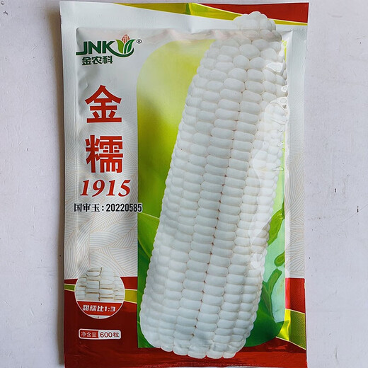 Early maturing short-stemmed white sweet and waxy white corn seeds in the field for sowing in all seasons with big sticks for fresh corn in spring and autumn Jinnuo 1915 600 grains