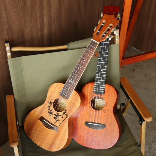 Er Jiagong Ukulele-Anfänger und Anfänger für die Einführung von Mädchen Vancouver 23-Zoll-Kleingitarren-Kindertag jagen Träume + Accessoires + Tuner + Baumwolltasche 23 Zoll