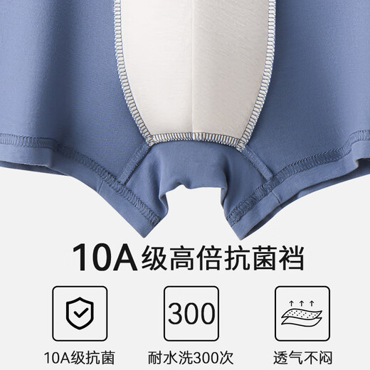 Katze Herren Unterwäsche Herren reines Baumwoll Samt Baumwoll hoher Gehalt Mulberry Seiden Antibakterieller Schrittboxer Shorts 4 2xl