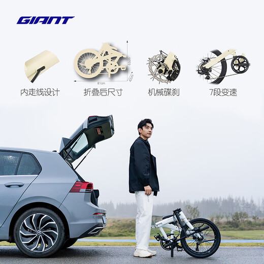 Giant iThink Expressway Disc LTD 2 portable 7-speed 20-inch leisure folding bicycle plain white_20 13_suitable for height 155-180c 20 inches_20 inches