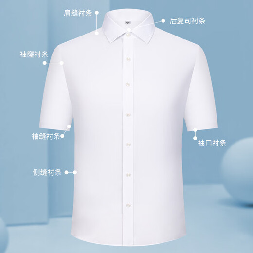 七匹狼（septwolves）夏季新款男士短袖条纹衬衫长袖薄款商务休闲正装衬衣中青年大码 DX6630 L 170--39