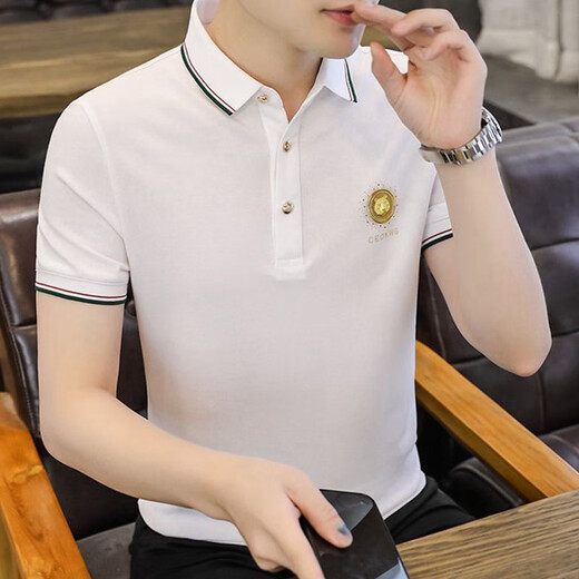 FJLT轻奢高档品牌polo衫男士T恤夏季新款时尚短袖翻领商务透气上衣 F6628（白色） XL (建议130-145斤)
