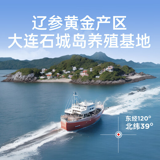 Fukouju Dalian ready-to-eat sea cucumber 2Jin Jin equal to 0.5kg 28-32 pieces OCC nourishing cost-effective sea cucumber gift box