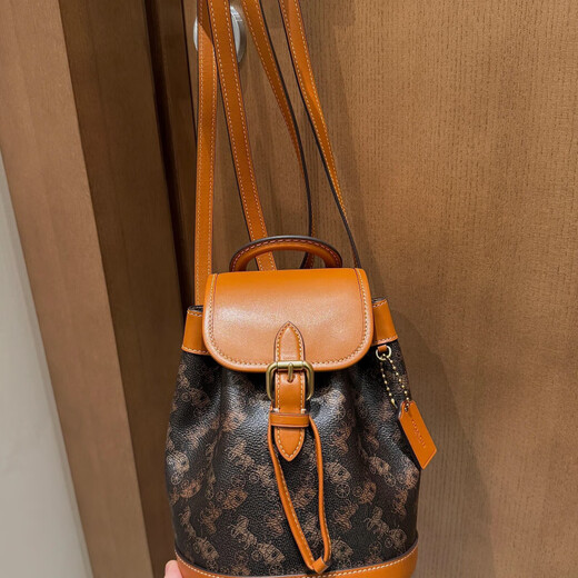 Coach (Coach) American Coach Women's Bag Harper18 Rucksack 25 Kutschen Druck Frauen Draw String Backpack Computerbag Xiang Bule