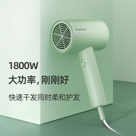 Flyco Haartrockner Zehn Millionen negativer Ionen Dreigang-Einstellung 360 Rotatable Luftkollektor Konstante Temperatur Haarpfle