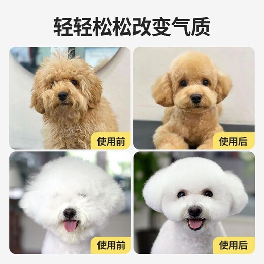 TYZAYR Japanese pet scissors, professional Teddy grooming and barbering tool, hair trimming set, curved shearing tool for cats and dogs (upgraded all steel) 7-inch curved scissors + 6.5-inch dental scissors