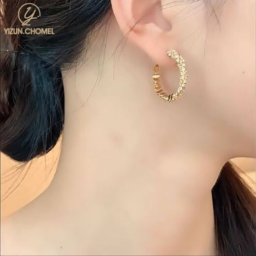 YIZUN. CHOMEL Broken Silver Zircon Earrings 2025 New Hot Style Niche Light Luxury High-end Earrings for Round Faces Temperament Earrings for Women Broken Silver Zircon Earrings Silver Needles