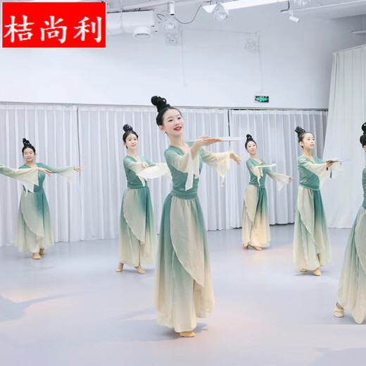 Ju Shangli Singyun Gradient Performance Kleidung Tanz Golden Gourd Rock Repertory Dance Klassischer Tanz Flirtanzug Kleid Kleid -Hose Gradient Tanzschuhe M 130c: 4858jin [Jin entspricht 0,5 kg]
