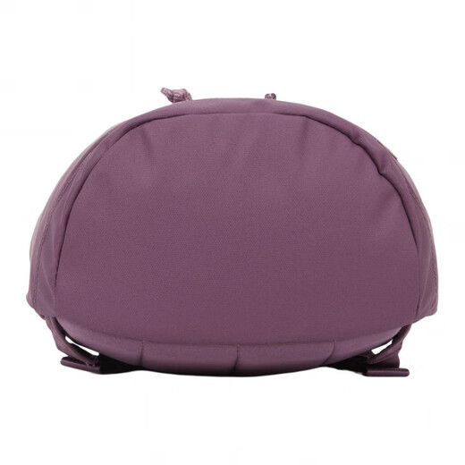 The North Face Neverstop lässig vielseitiger vielseitiger Reißverschluss Nylon Rucksack Mini -Frauentrauben lila Traube lila Mini