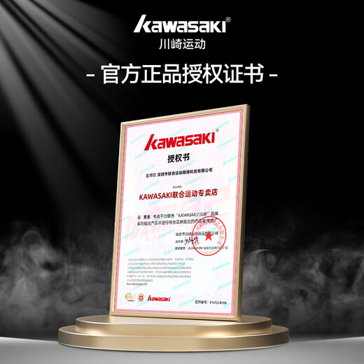 川崎（KAWASAKI）羽毛球拍全碳素碳纤维专业级超轻6U单拍子进攻型阿尔法疾氢主义α 浅云白灰-穿白线-26磅-6U 赠高级隔热拍套