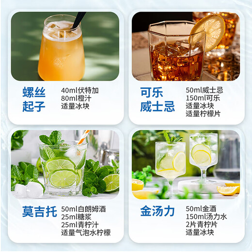 
Gorian Whiskey Vodka Gin Rum Cocktail Flavored Syrup Beverage Wine Base Wine 8 Bottle Set (Good Beverage Tool)