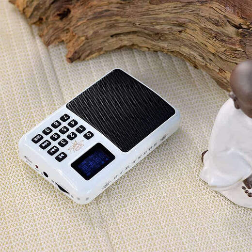 Shanyuan 910 Mini Mini Small Player Card Зарядка проигрывателя песня Player Music Machine High Definition Качество звука (1396 песни включают карту 16G)
