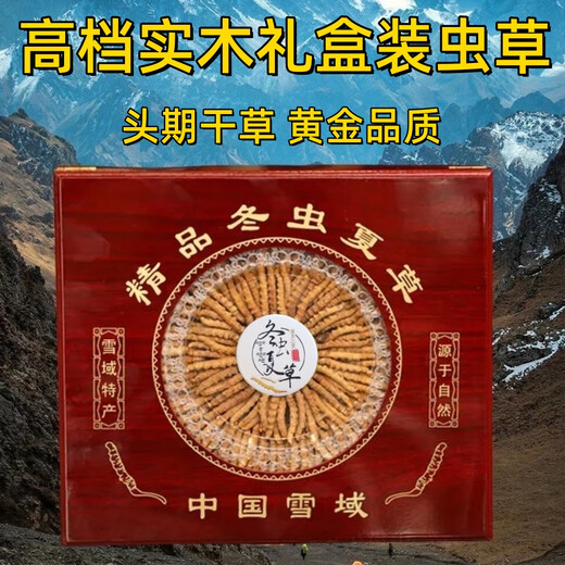 Cordyceps gift box 2025 first stubble new dried cordyceps authentic guaranteed to ship authentic Tibetan cordyceps on the same day. Tibet fine cordyceps 2 pieces 1 gram 30 pieces