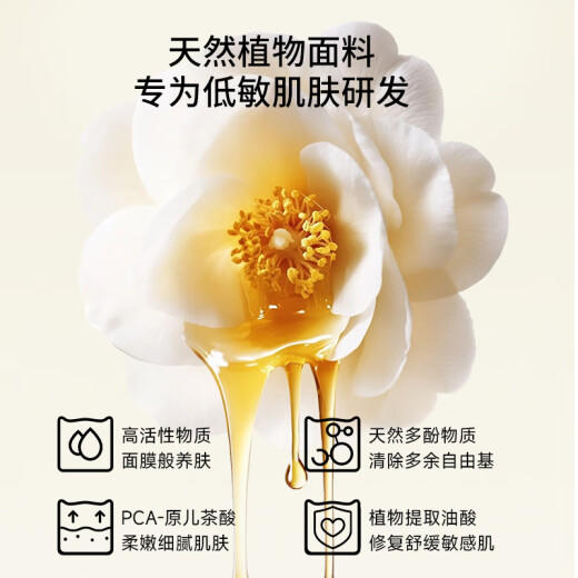 猫人（MiiOW）粉底液内衣夏季薄款女士内衣无钢圈胸女聚拢防下垂收副乳上托胸罩