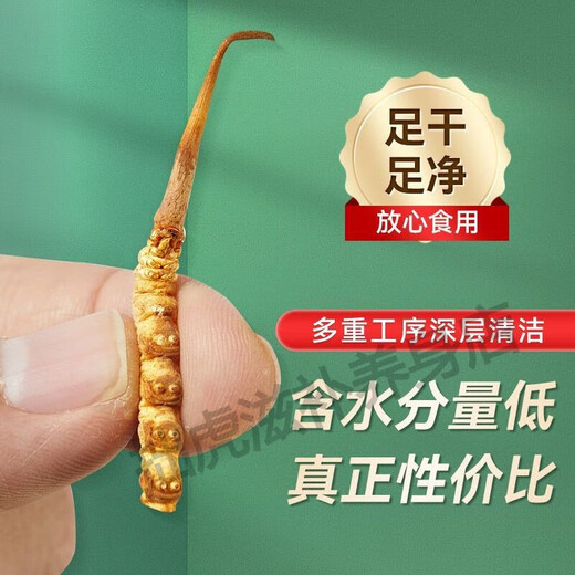 Beijing Tongrentang Quality Tibet Direct Faquenna Cordyceps High-altitude Cordyceps Warm Dry Goods 100g Gift Box 5g Canned